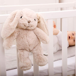 Peluche Musicale Coniglietto Cloud B