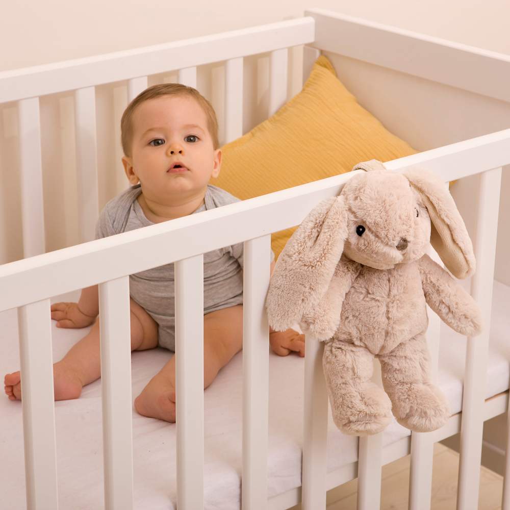 Peluche Musicale Coniglietto Cloud B