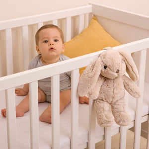 Peluche Musicale Coniglietto Cloud B
