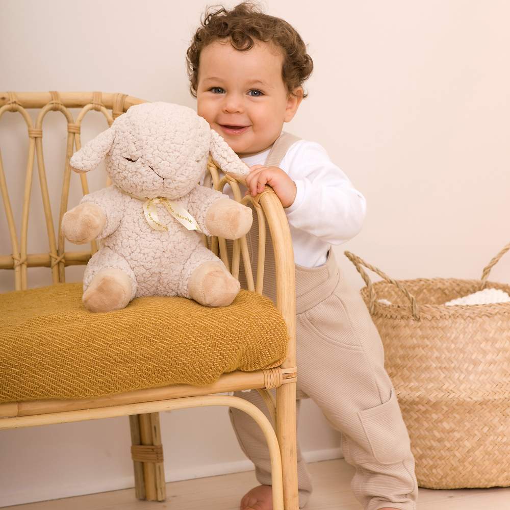 Peluche Musicale Pecora Cloud B