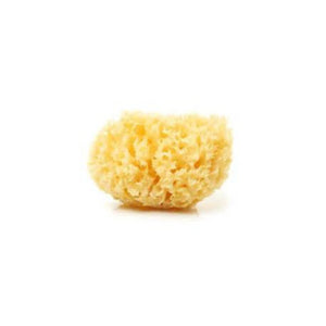 Spugna Naturale Di Mare Mizu Baby