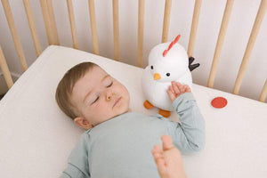 Pupazzo musicale Paola la Gallina Little Big Friends