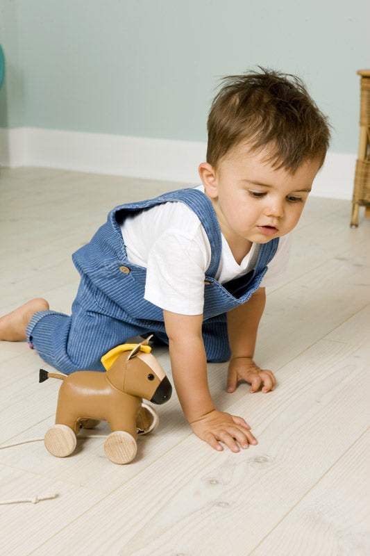 Pupazzo trainabile con ruote Carlo il Cavallo Little Big Friends