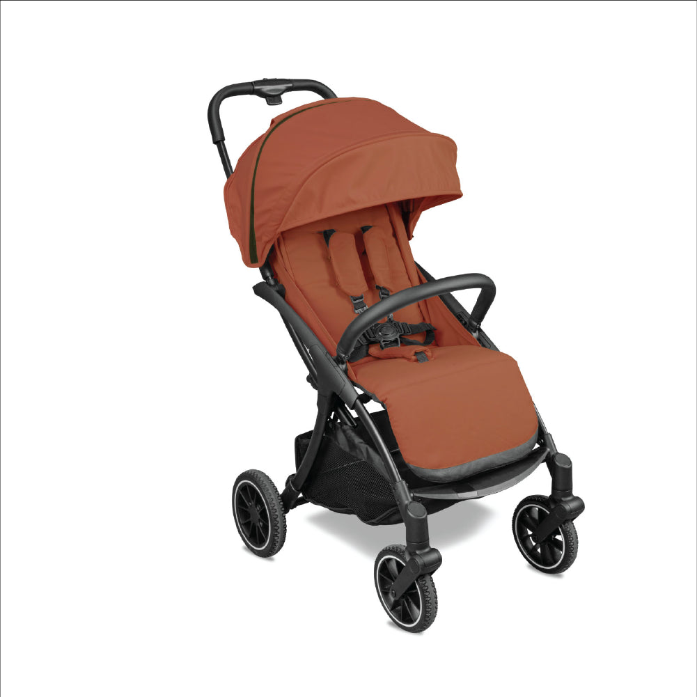 Passeggino Wizard Pali