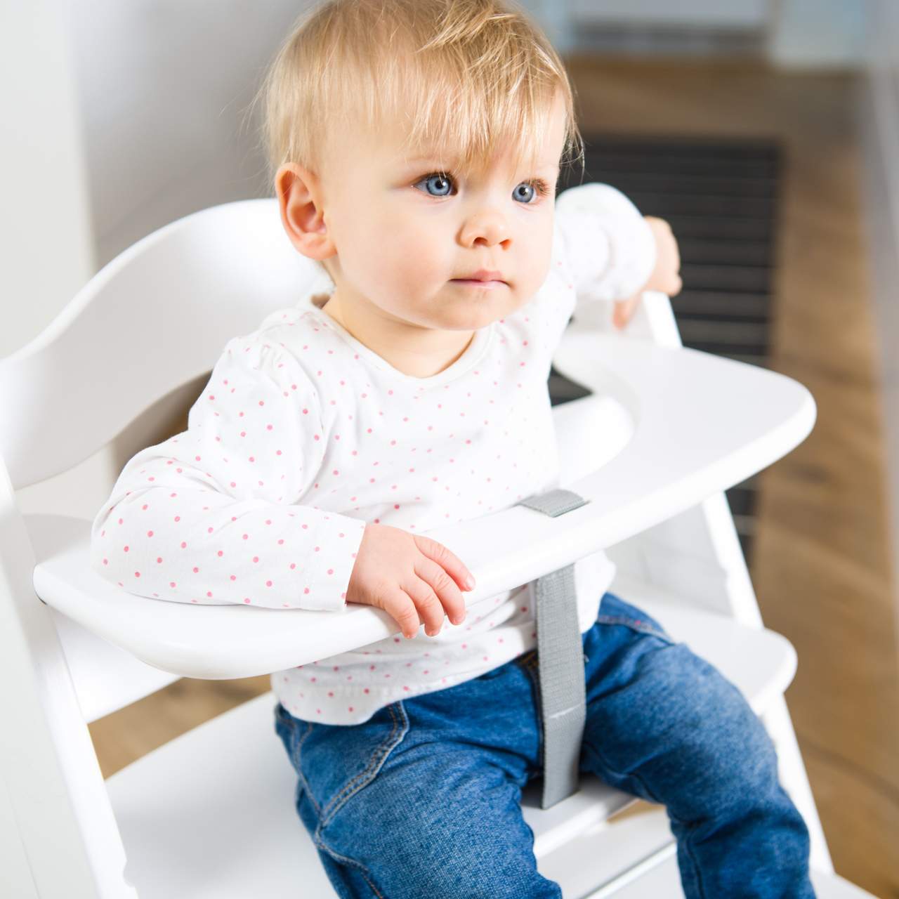 Seggiolone Pappa Hauck Alpha Plus