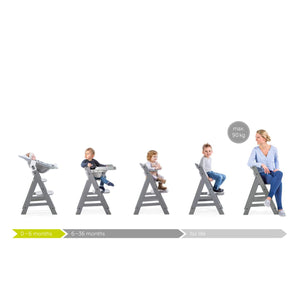 Seggiolone Pappa Hauck Alpha Plus