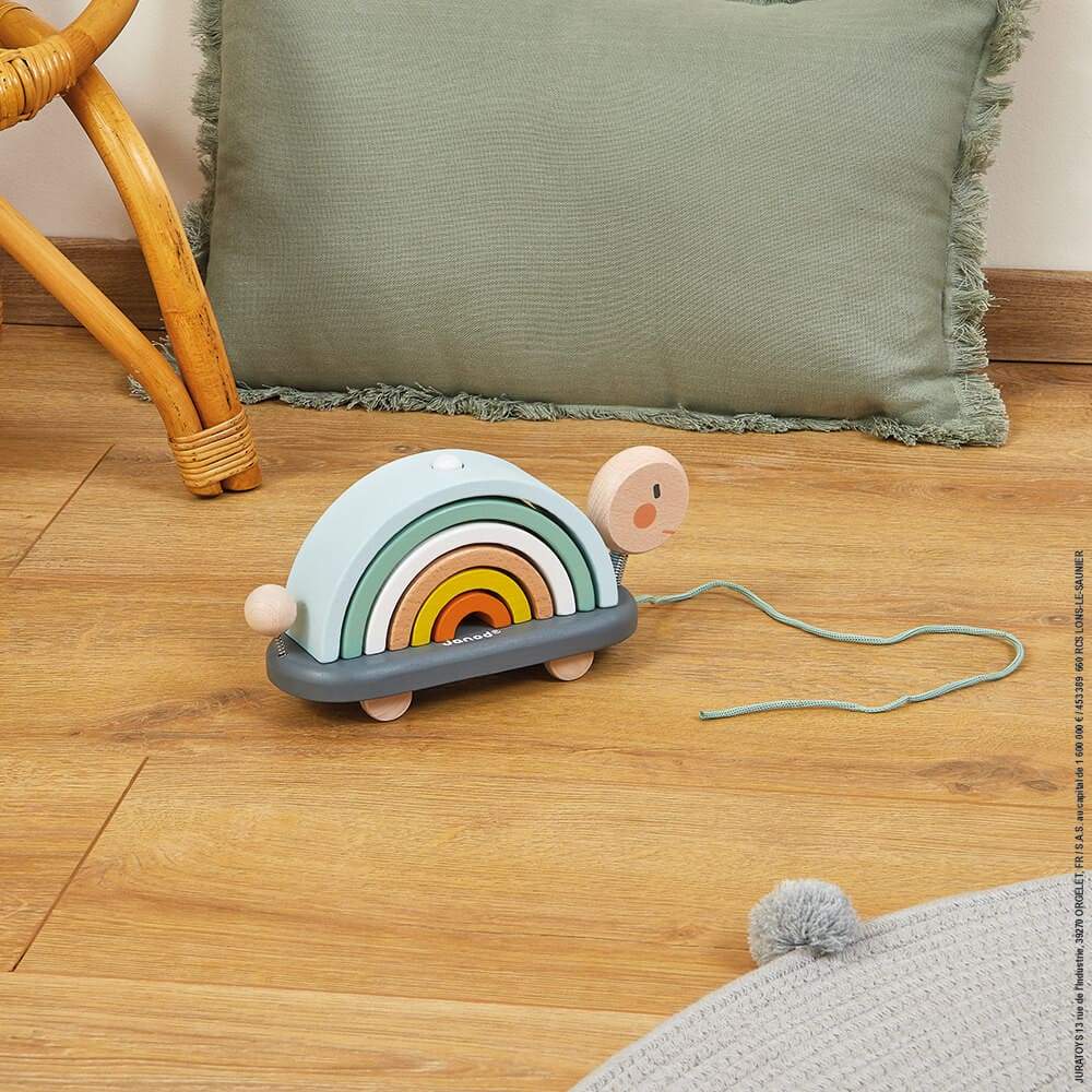 Tartaruga Arcobaleno Sweet Cocoon Janod