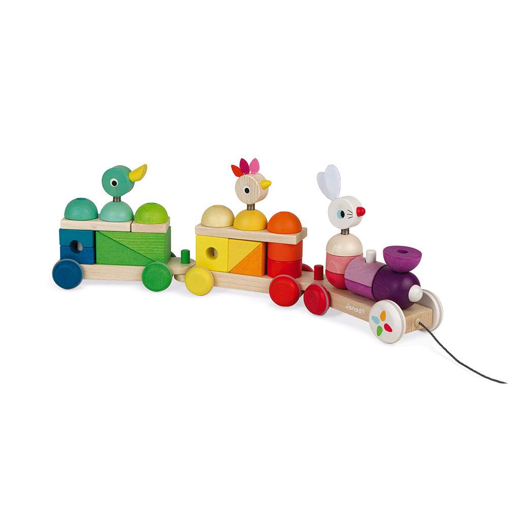Treno Gigante Multicolore Zigolos Janod