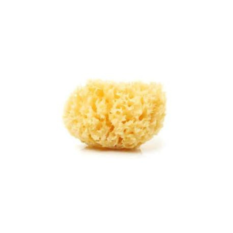 Spugna Naturale Di Mare Mizu Baby