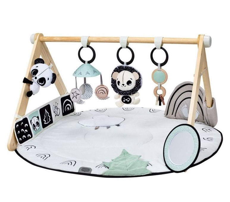 Palestrina Black & White Gymini evolutiva Tiny Love