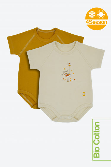 Body neonato cotone biologico long neck bipack J Bimbi