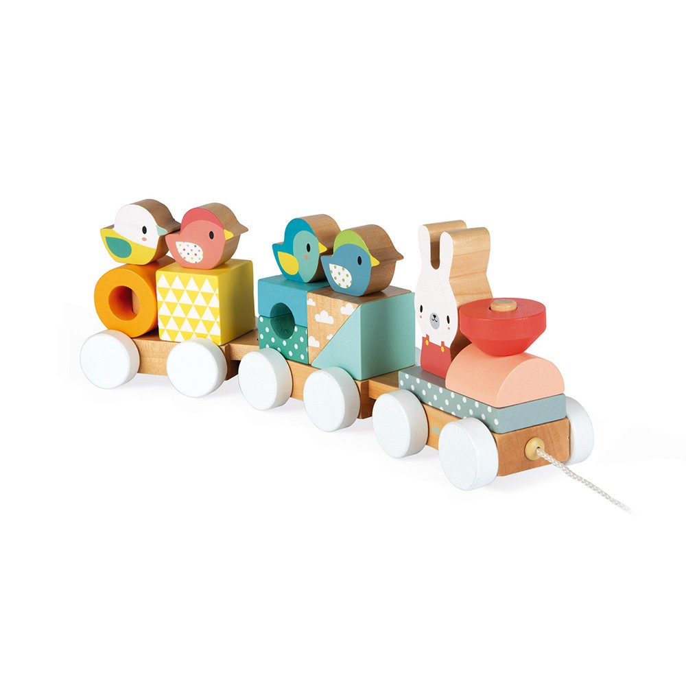 Trenino in legno Janod Pure Train